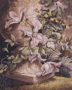 Mrs Theodore Henry Fielding Still-life (mk47) Spain oil painting artist